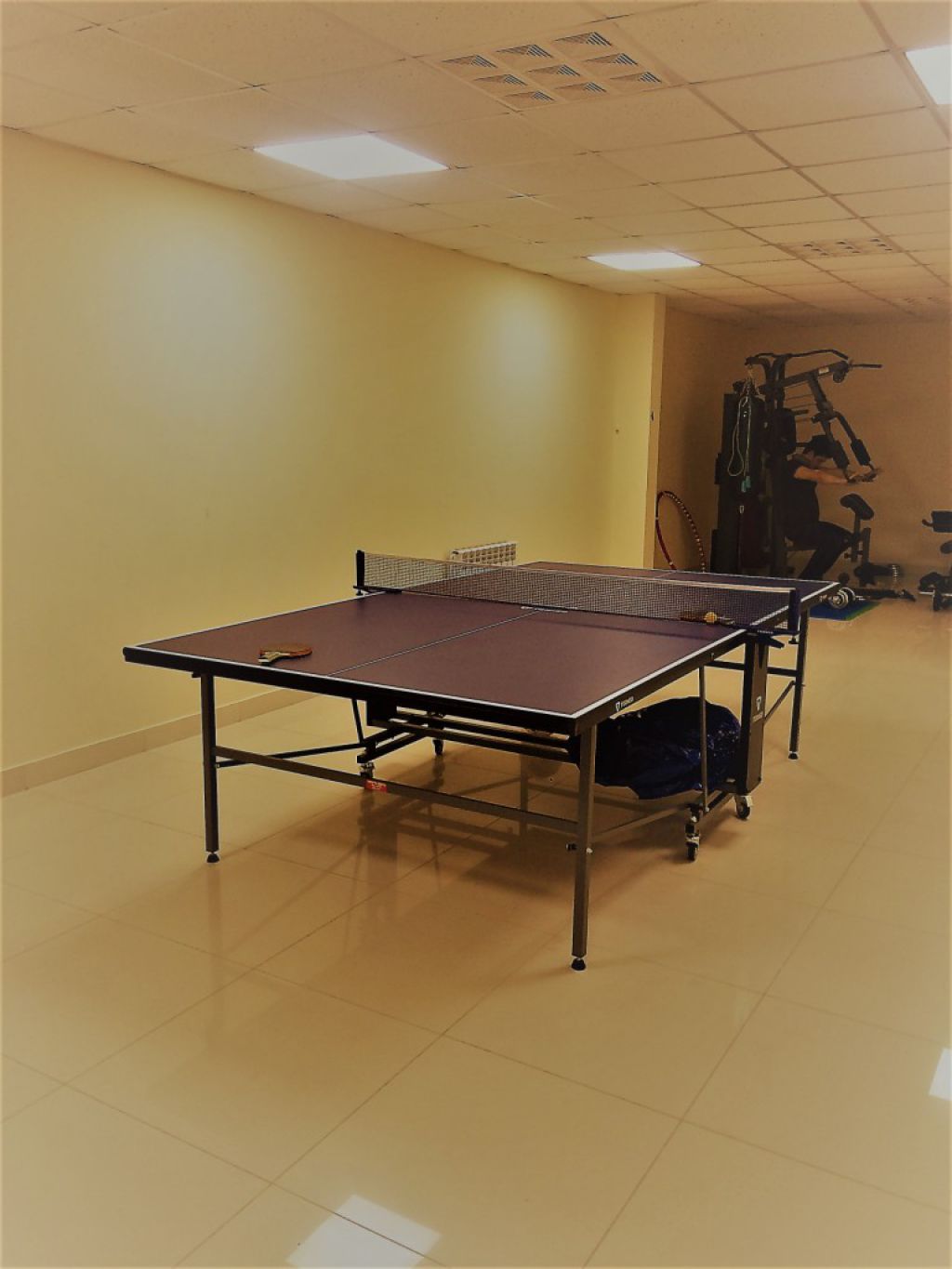 Gym, table tennis Гостевой дом «KESEA Family»